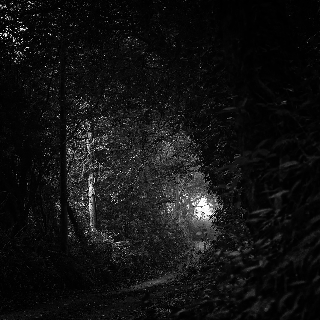 Enchanted